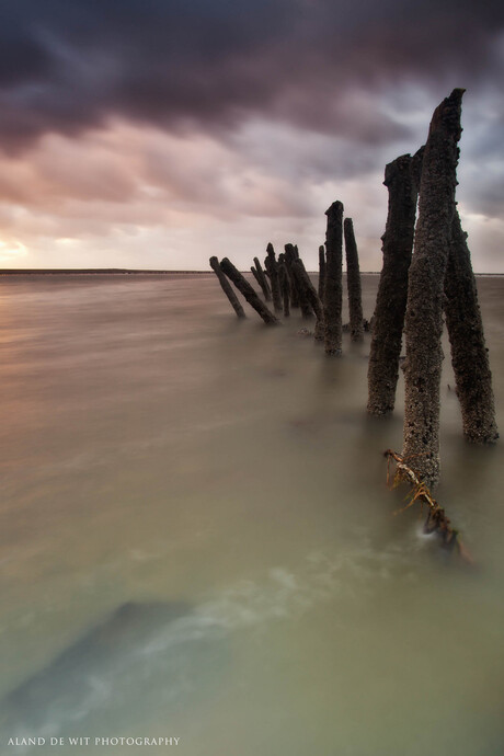 Paaltjes op 't Wad