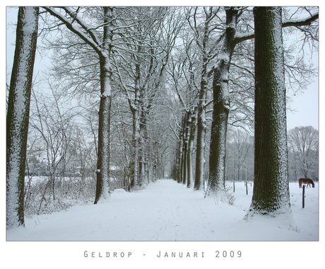 Sneeuw in Geldrop 4