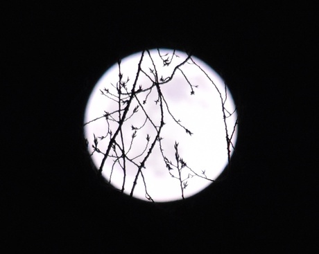 Full moon January
