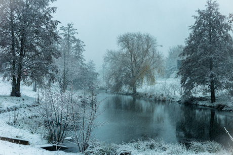 winter2017_eerste sneeuw