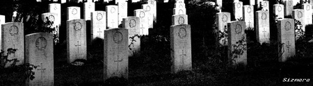 Nothing Else Matters - Groesbeek Canadian War Cemetery - foto door sizmara op 16-11-2009