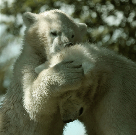 Come here and give me a kiss....!
