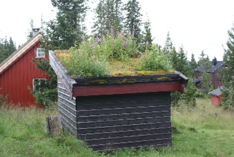 Schuurtje met gras op het dak in Noorwegen
