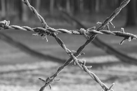 momument kamp Westerbork