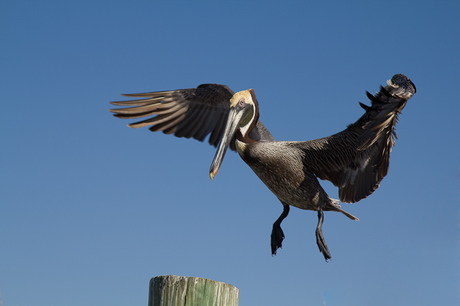 Landing