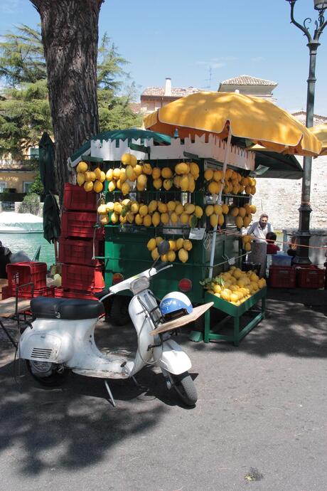 Limone in Sirmione