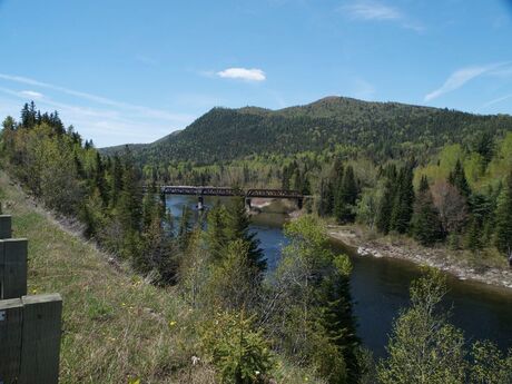 Across the river