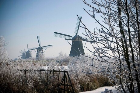 Kinderdijk in de winter