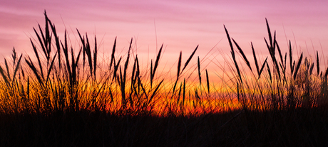 Zonsondergang Julianadorp