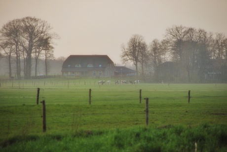 Het krieken van de dag..