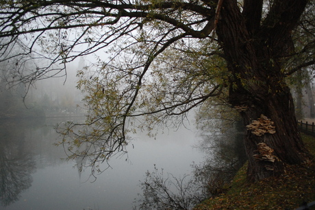 Brugge in de mist