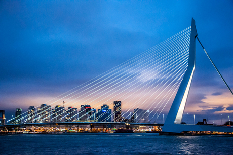 Erasmusbrug Rotterdam in de avond