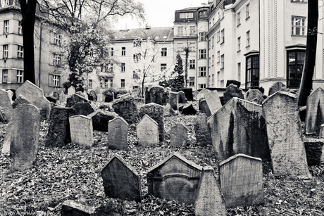 Joodse begraafplaats in Praag -2