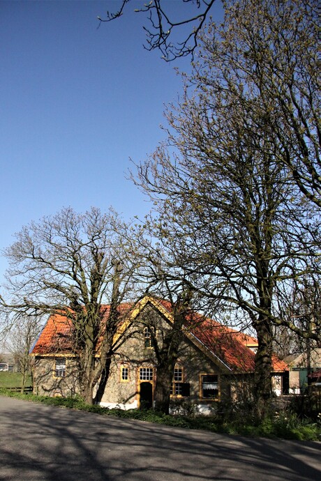 Boerderij