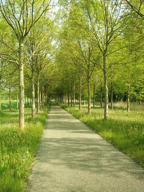 Fietspad