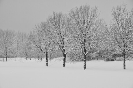 winter 2010