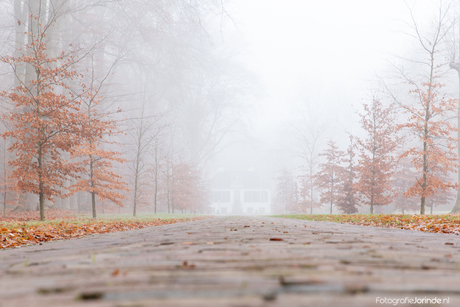 Misty Morning