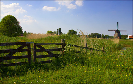 Oudorper polder