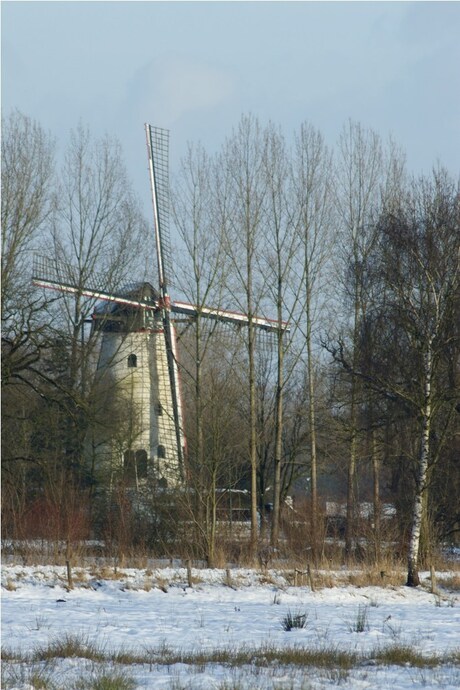 molen