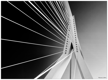 Erasmusbrug, Rotterdam