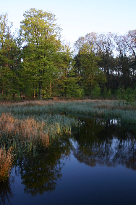 Veluwe