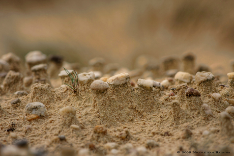 Sand & Stones II