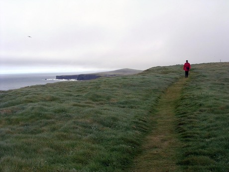 Loop Head (Ierland)