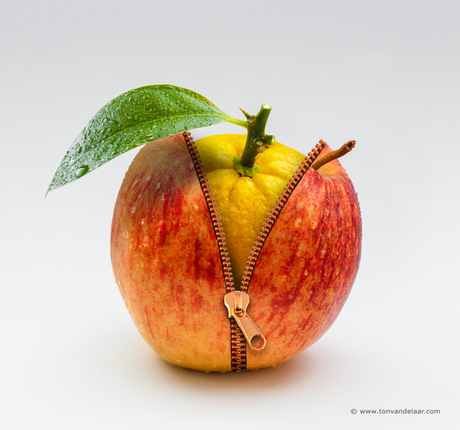 Apple-Orange.jpg