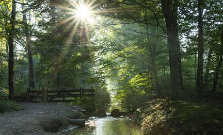 When the sun comes up