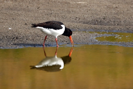 Spiegeltje,spiegeltje aan .........