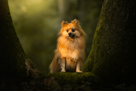 Catching first sunlight ✨️