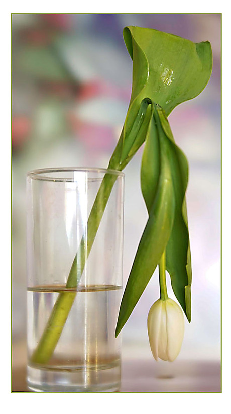 ik geef het op...................................