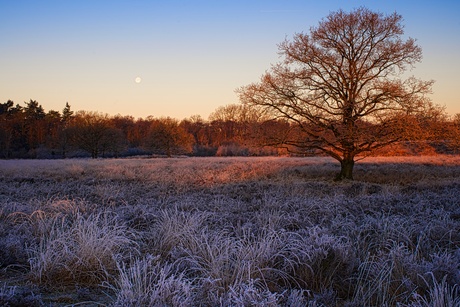 Sunrise and moonset!