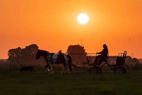 Zonsondergang 