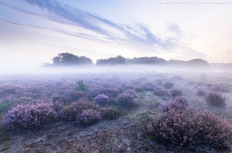 Drunense duinen