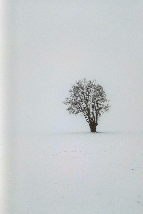 eenzaam in de sneeuw