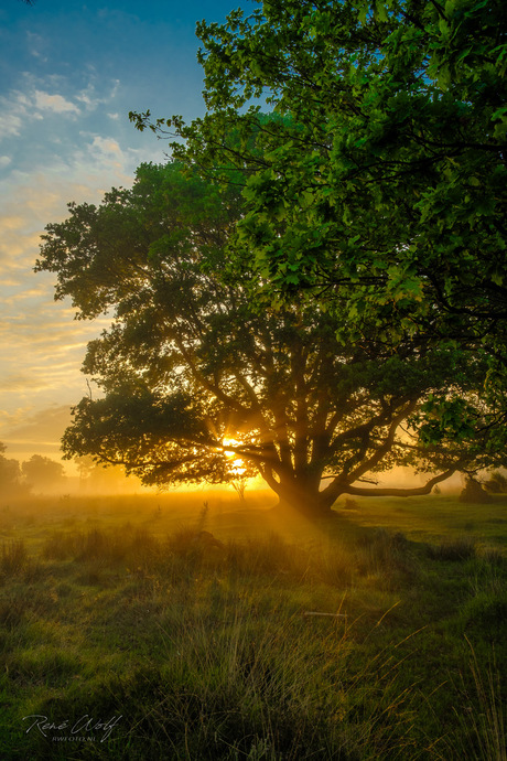 Morgenstond