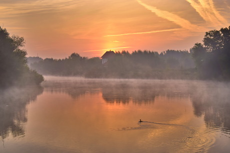 The Rocksong Series : Early Bird