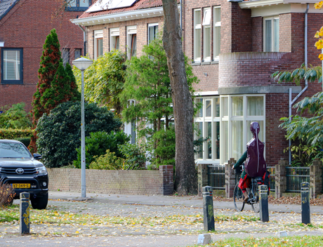  Fietser fietst met de muziek mee....