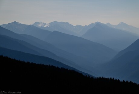Hurricane Ridge