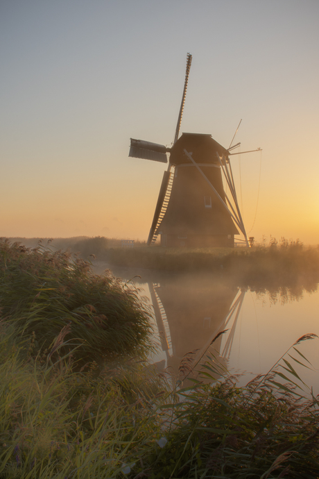 Krimstermolen in het gouden licht