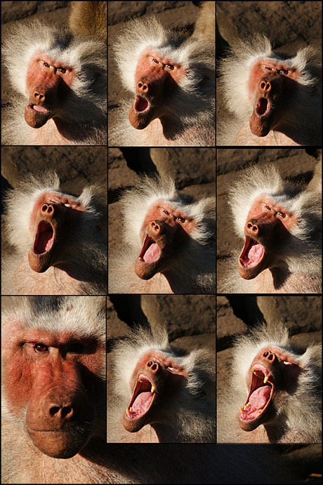 anderen...............................