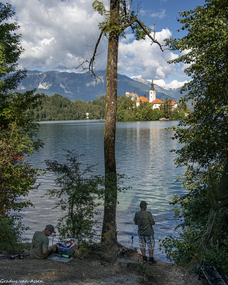 Vissen in het meer van Bled