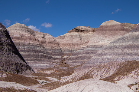 Blue Mesa