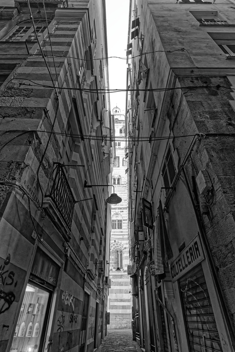 Kathedraal van Genua