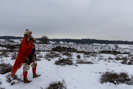viking in de sneeuw
