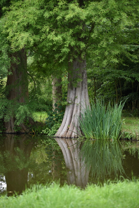 stukje tuin van Kasteel de Haar