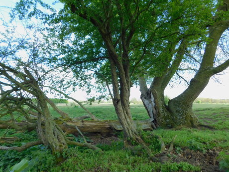 Waar de weg eindigt .....