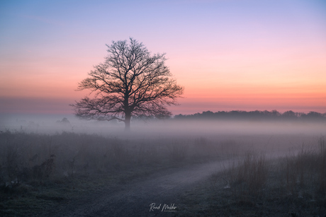 Haaksbergerveen zonsopgang
