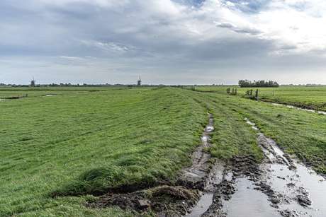 Polder
